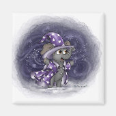 冬の磁石の金属片ウィルバー マグネット (正面)