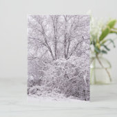 冬の空白の景色 シーズンカード (スタンド正面)