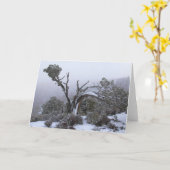 冬の空白の木のグリーティングカード内 カード (黄色い花)
