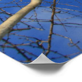 冬の空 ポスター (角)