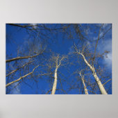 冬の空 ポスター (正面)