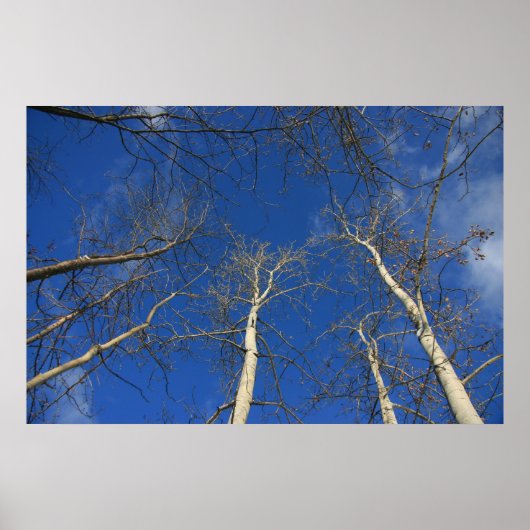 冬の空 ポスター (正面)