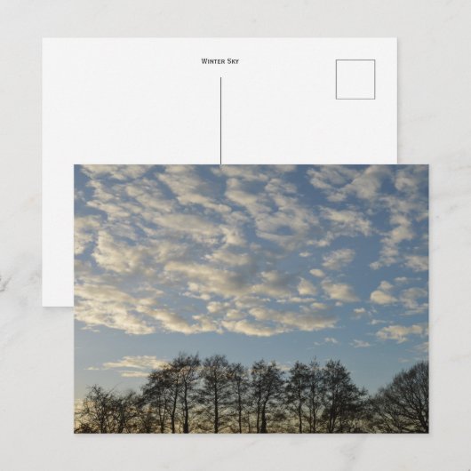 冬の空 ポストカード (正面/裏面)