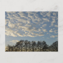 冬の空