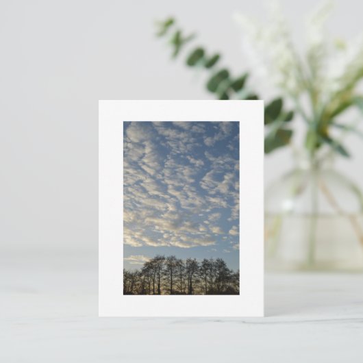 冬の空 ポストカード (スタンド正面)