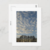 冬の空 ポストカード (正面/裏面)