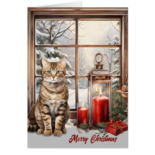 冬の窓クリスマスにタビー猫とキャンドル (正面)