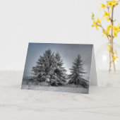 冬の精神で カード (黄色い花)