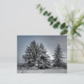 冬の精神で ポストカード (スタンド正面)