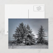 冬の精神で ポストカード (正面/裏面)