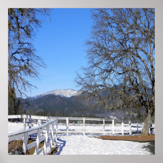 冬の素敵な日…... ポスター (正面)