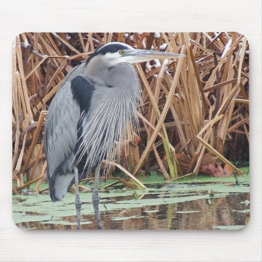 冬の素晴らしい青鷲の狩り マウスパッド (正面)