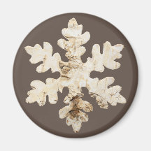 冬の素朴バーチウッド雪の薄茶色の白