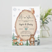 冬の素朴森で性別を明かす 招待状 (スタンド正面)