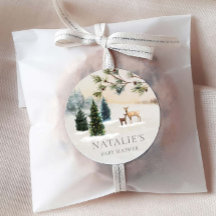 冬の素朴森の赤ちゃんシャワー