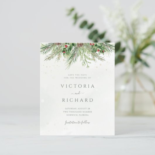 冬の素朴緑の予算を節約する (スタンド正面)