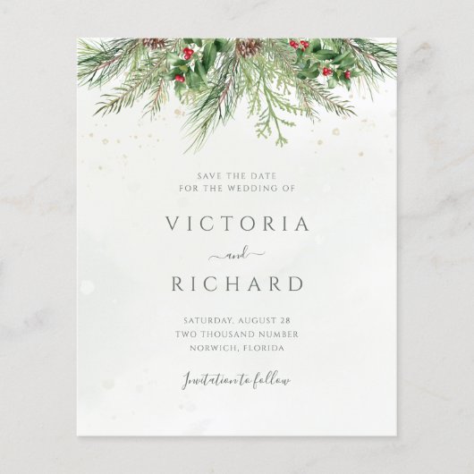 冬の素朴緑の予算を節約する (正面)