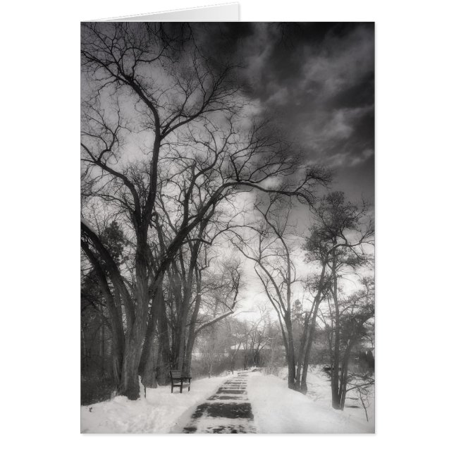 冬の細道 (正面)