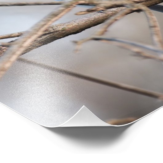 冬の終わりに枝で歌うタフテッドタイトマウス フォトプリント (角)