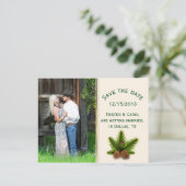 冬の結婚式の松のコーン日付はがきを保存 案内ポストカード (スタンド正面)