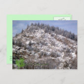 冬の緑のはがき ポストカード (正面/裏面)