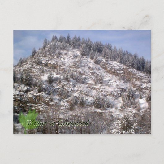 冬の緑のはがき ポストカード (正面)