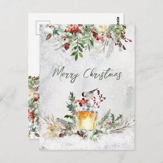 冬の緑の赤ベリーバードクリスマスポストカード ポストカード (正面/裏面)