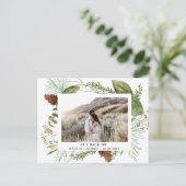 冬の緑は日付の写真はがきを保存 シーズンポストカード (スタンド正面)