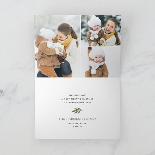 冬の緑 | 写真折り畳みホリデーカード シーズンカード (内部)
