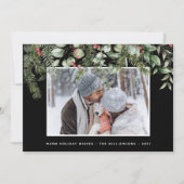 冬の緑 | 松と実の写真 ホリデー (正面)