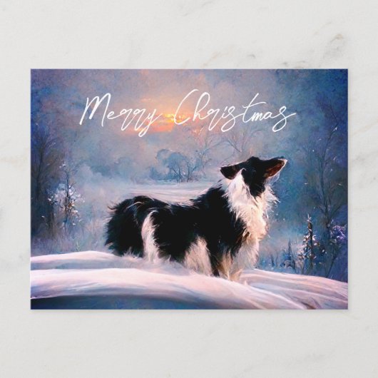 冬の縁ど雪の風景のクリスマスにコリー シーズンポストカード (正面)