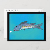 冬の美しいの郵便はがき ポストカード (正面/裏面)