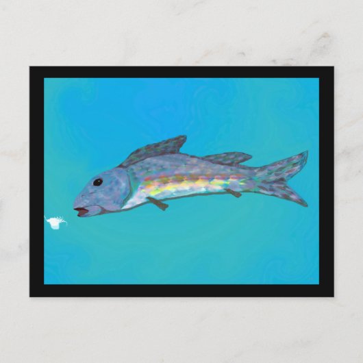 冬の美しいの郵便はがき ポストカード (正面)