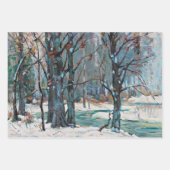 冬の美しいアーカラフルト ラッピングペーパーシート (正面)