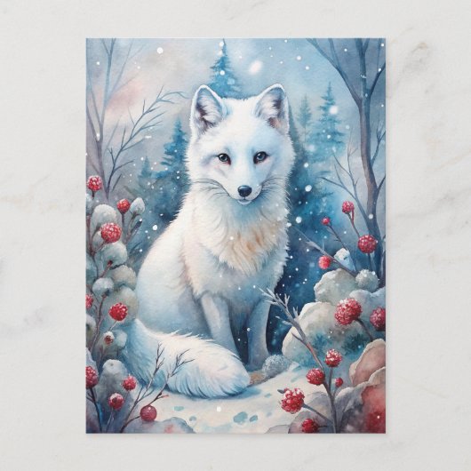 冬の美しい白いキツネ ポストカード (正面)