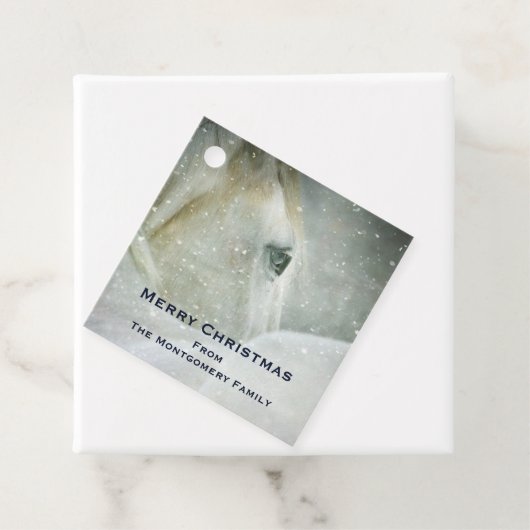 冬の美しい白馬フォトクリスマス フェイバータグ (インサイチュ)