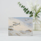 冬の羽毛、雪の飛んでいる向こう側のパルミガン ポストカード (スタンド正面)