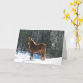 冬の腕時計 カード (黄色い花)