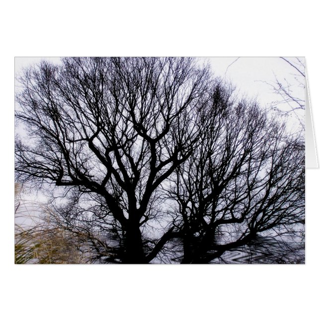 冬の自然カード (正面横)