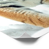 冬の自然フォトタイガー雪山のポスター ポスター (角)