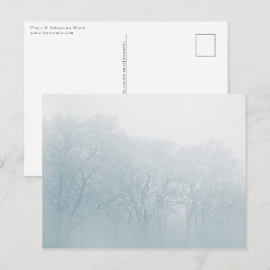 冬の自然写真 ポストカード (正面/裏面)