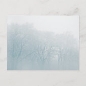 冬の自然写真 ポストカード (正面)