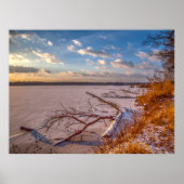 冬の自然凍ってい、池、美しい写真 ポスター (正面)