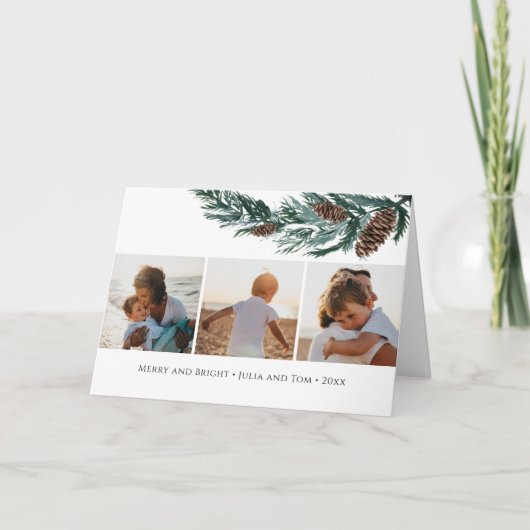 冬の自然|水彩松円錐トウヒ枝 シーズンカード (正面)