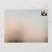 冬の至最長日が明るい冬に戻る シーズンポストカード (裏面)