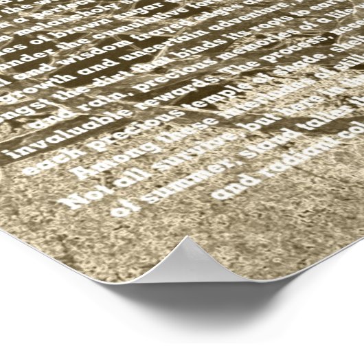 冬の至 ポスター (角)