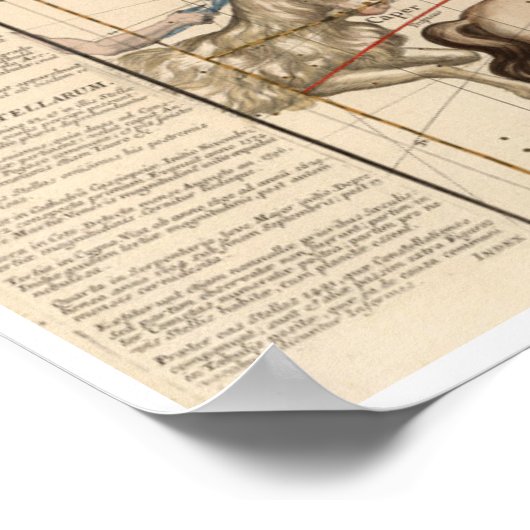 冬の至 ポスター (角)