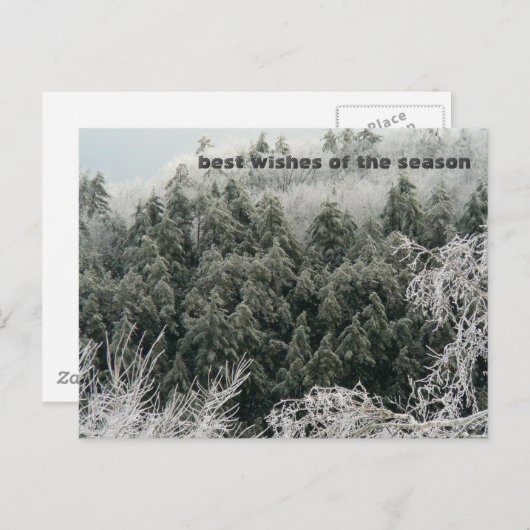 冬の至 ポストカード (正面/裏面)