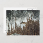 冬の至 ポストカード (正面/裏面)