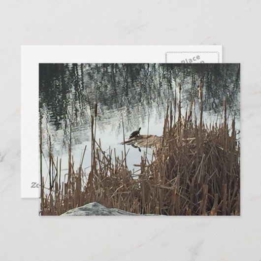 冬の至 ポストカード (正面/裏面)